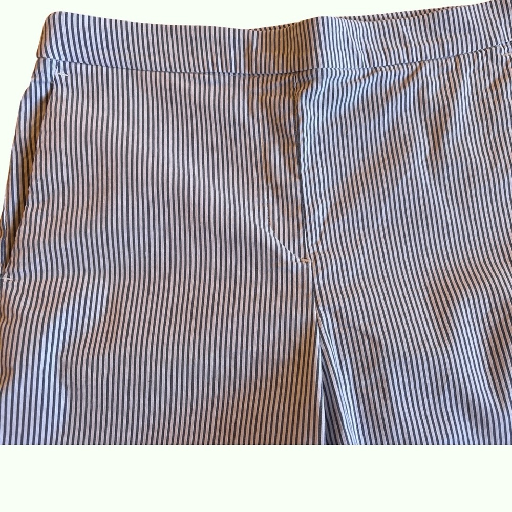 Carolina Belle Blue and White Striped Pull On Pants Size 8